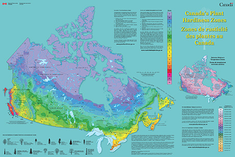 Image result for hardiness zone mississauga